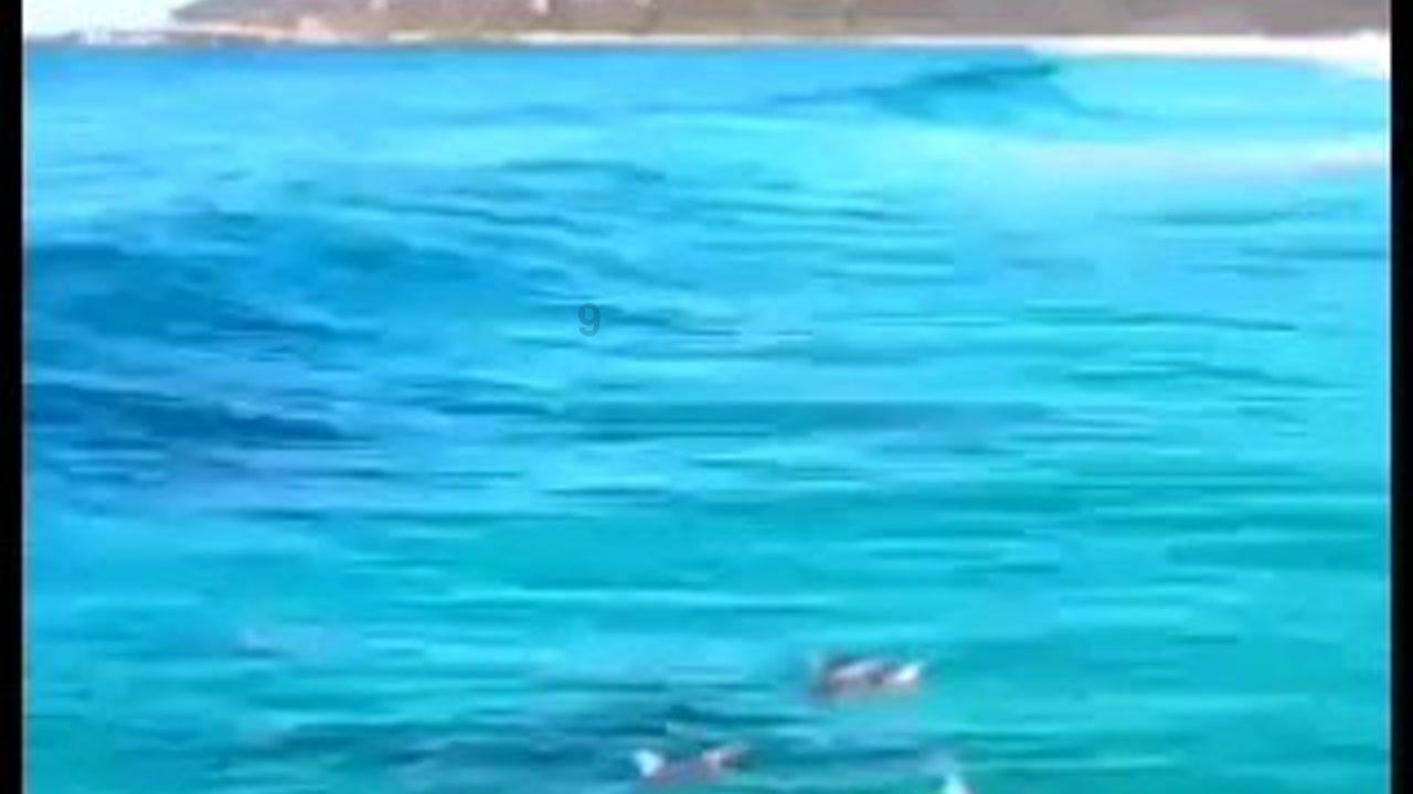 极限摩托车大赛